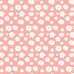 Daisies in Coral