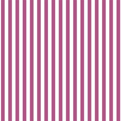 Dress Stripe in Azalea