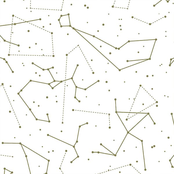 Star Charts in Jungle on White