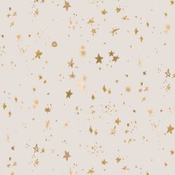 Star Splendor in Soft Gray