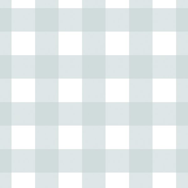 Large Gingham in Soft Sky