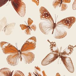 Large Amber Butterflies in Ecru