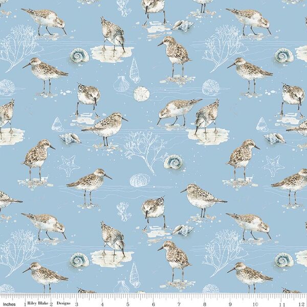 Birds in Blue