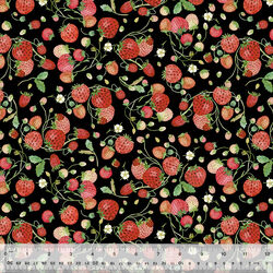 Strawberries in Black