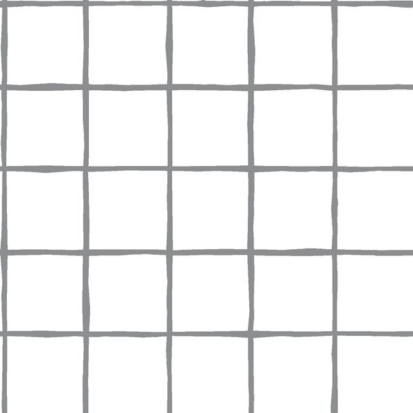 Windowpane in Smoke on White