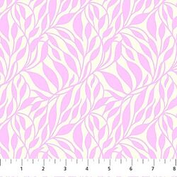 Wander in Orchid