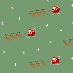 Reindeer Flight in Mistletoe
