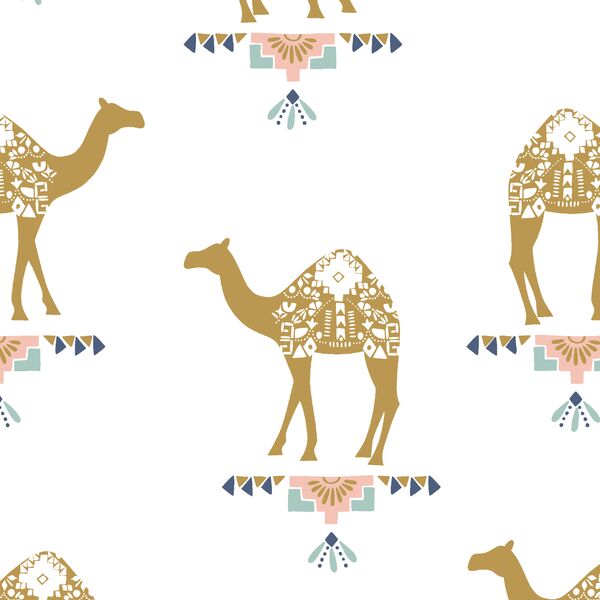 Camels in White