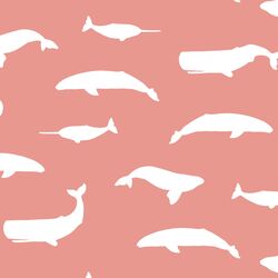 Whale Silhouette in Tulip