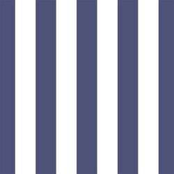 Play Stripe in Indigo