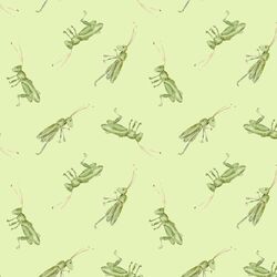 Grasshopper in Leafy
