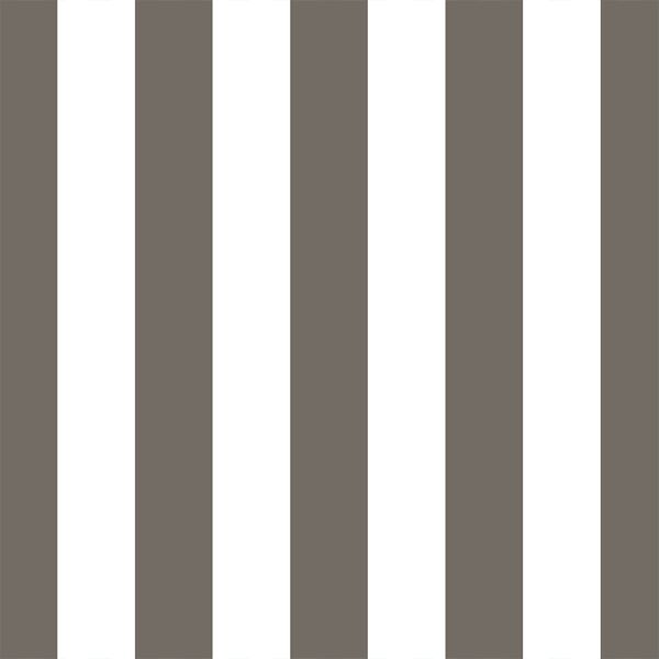Play Stripe in Stone