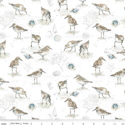 Birds in White