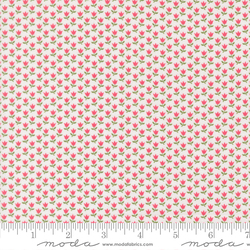 June in Cream Rosie