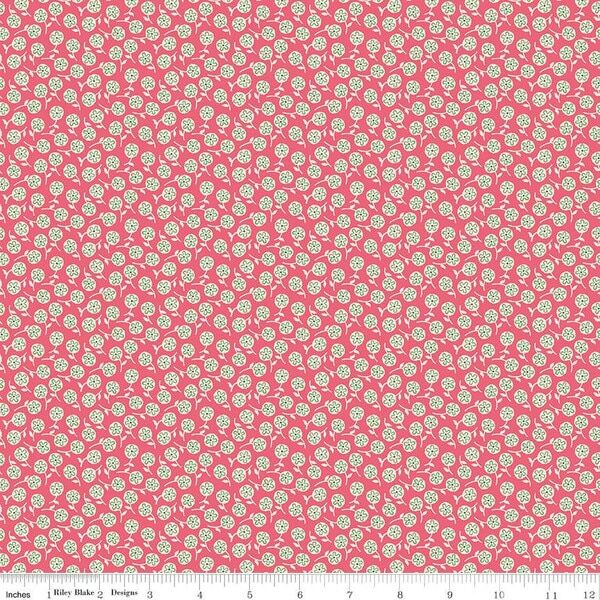 Erma in Tea Rose