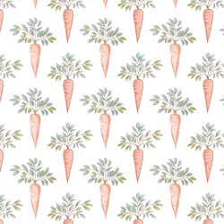 Carrot Craze in Springtime