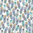 Feathers in Brave Chivalry