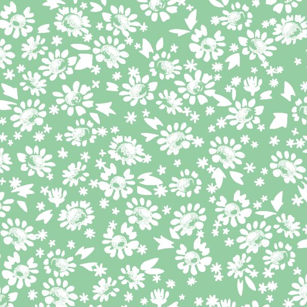 Daisies in Sprout