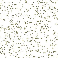 Confetti in Jungle