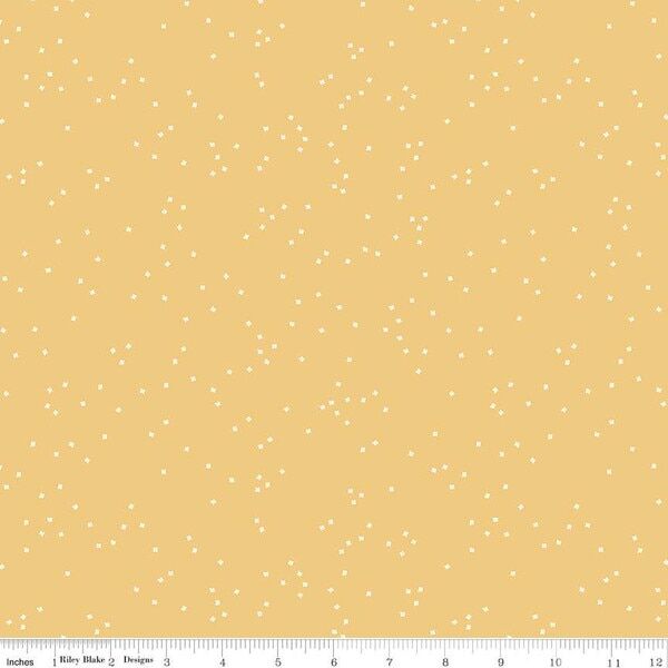 Blossom in Honey