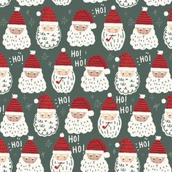 Father Christmas in Duck Green