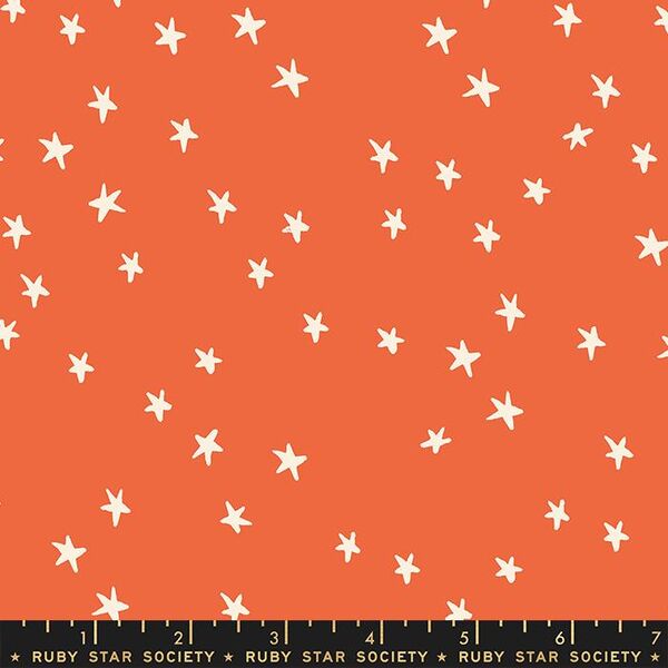 Starry in Nutmeg