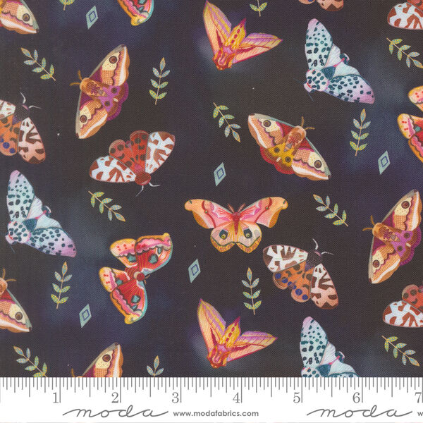 Moth Array in Night Sky