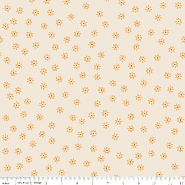 Daisies in Daisy