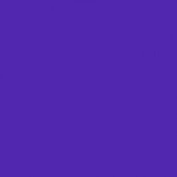 Solid in Dark Purple