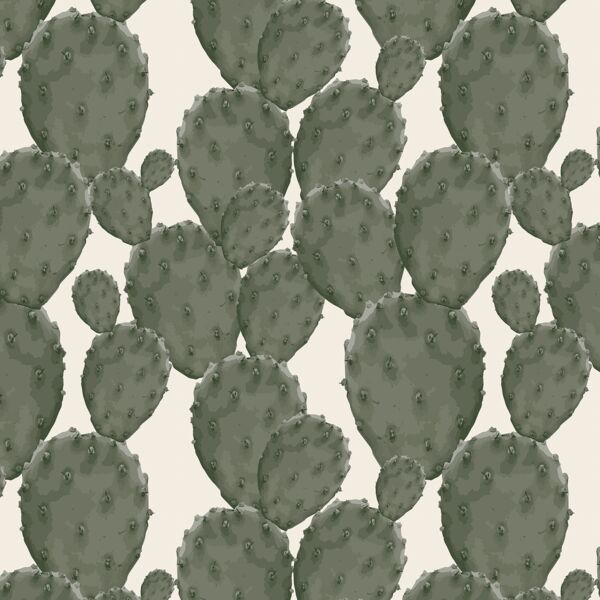 Big Cactus in Natural
