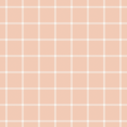 Window Check in Powder Pink