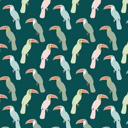 Little Toucans in Jungle
