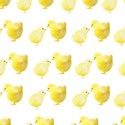 Hatched in Garden Party