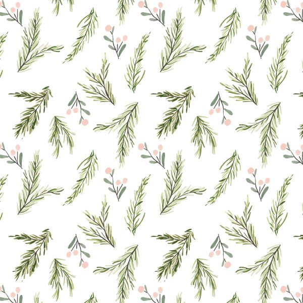 Pine Berry in Delight