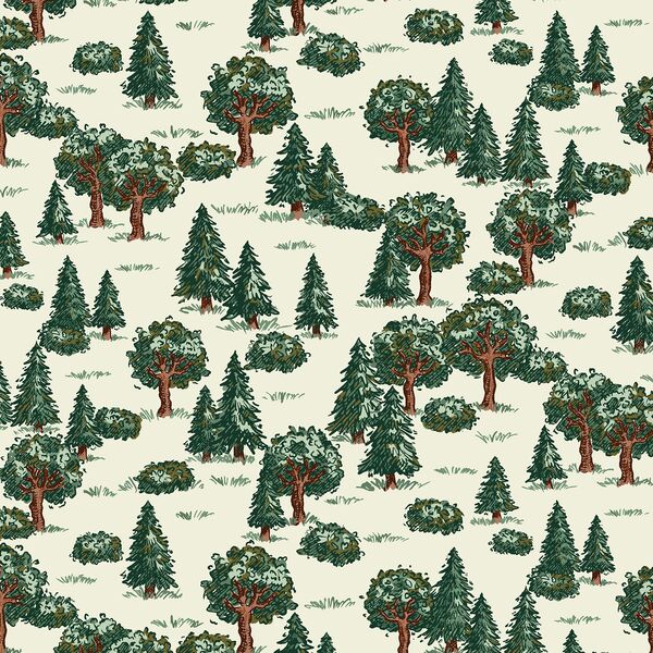 Forest for the Trees in Douglas Fir