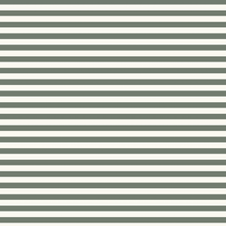 Spring Stripe in Meadow Green