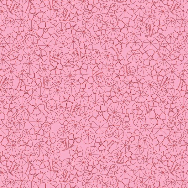 Nasturtium Field in Camellia Pink