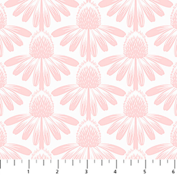 Coneflower in Blush