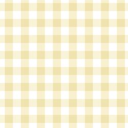 Gingham in Sunlight