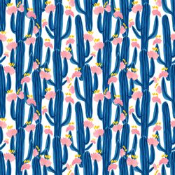 Cactus Dreams in Sonoran