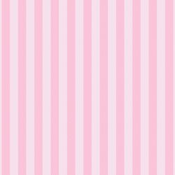 Two Tone Stripe in Rose Blush