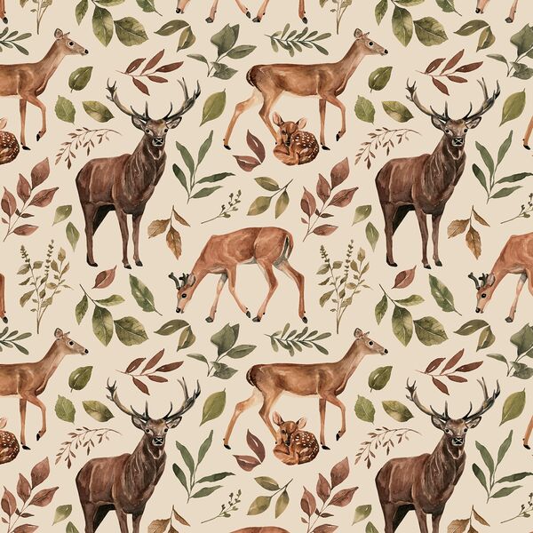 Deer in Wild