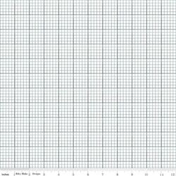 Graph Paper in Blue