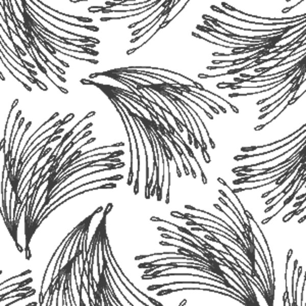Whiskers in Onyx