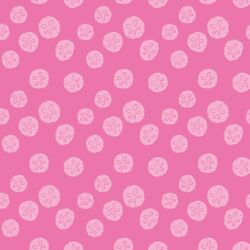 Sand Dollars in Pink Hibiscus