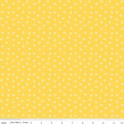 Daisies in Yellow