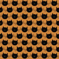 Scaredy Cat in Orange