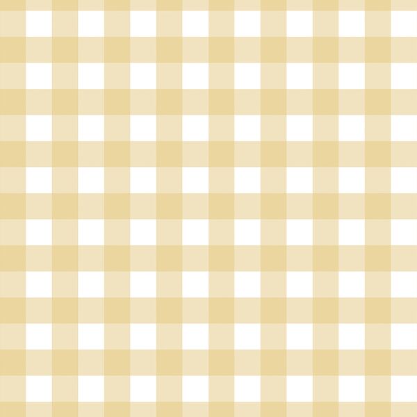 Spring Gingham in Sunlit