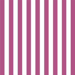 Candy Stripe in Azalea