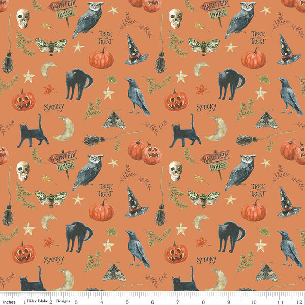 Spooky in Orange